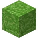 Grass Block
