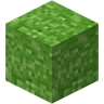 Grass Block